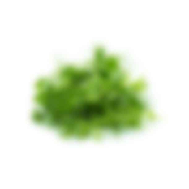Sprouted peas